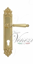 Ручка дверная на планке под цилиндр Venezia Pellestrina CYL PL96 полированная латунь