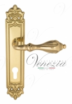 Ручка дверная на планке под цилиндр Venezia Anafesto CYL PL96 полированная латунь