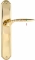 Ручка дверная на планке пустышка Extreza CALIPSO (Калипсо) 311 PL01 PASS полированная латунь F01