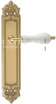 Ручка дверная на планке пустышка Extreza DANA (Дана) 305 PL02 PASS полированная латунь F01