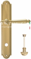 Ручка дверная на планке с фиксатором Extreza DANIEL (Даниел) 308 PL03 WC полированное золото F01