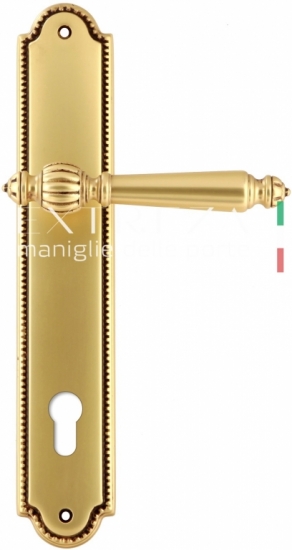 Ручка дверная на планке под цилиндр Extreza DANIEL (Даниел) 308 PL03 CYL французское золото + корич F59