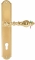 Ручка дверная на планке под цилиндр Extreza EVITA (Эвита) 301 PL01 CYL полированное золото F01