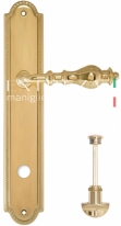 Ручка дверная на планке с фиксатором Extreza EVITA (Эвита) 301 PL03 WC полированное золото F01