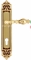 Ручка дверная на планке под цилиндр Extreza EVITA (Эвита) 301 PL02 CYL Французское золото + коричневый F59