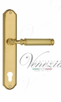 Ручка дверная на планке под цилиндр Venezia Mosca CYL PL02 полированная латунь