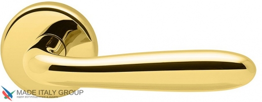 Дверная ручка на круглой розетке COLOMBO Robot CD41RGSB-OL полированная латунь