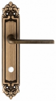 Дверная ручка Extreza TERNI (Терни) 320 на планке PL02 WC матовая бронза F03