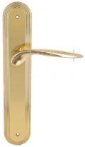 Дверная ручка Extreza CALIPSO (Калипсо) 311 на планке PL05 полированная латунь F01