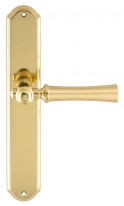 Дверная ручка Extreza DEZI (Дези) 309 на планке PL01 матовая латунь / латунь F02 / F01