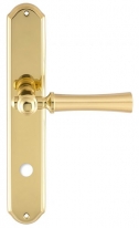 Дверная ручка Extreza DEZI (Дези) 309 на планке PL01 WC матовая латунь / латунь F02 / F01