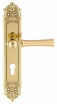 Дверная ручка Extreza DEZI (Дези) 309 на планке PL02 CYL матовая латунь / латунь F02 / F01