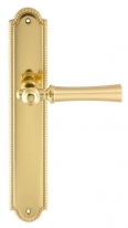 Дверная ручка Extreza DEZI (Дези) 309 на планке PL03 матовая латунь / латунь F02 / F01