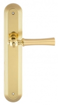 Дверная ручка Extreza DEZI (Дези) 309 на планке PL05 матовая латунь / латунь F02 / F01