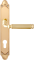 Дверная ручка на планке Melodia Rania 290/158 Cyl Rania Латунь полированная